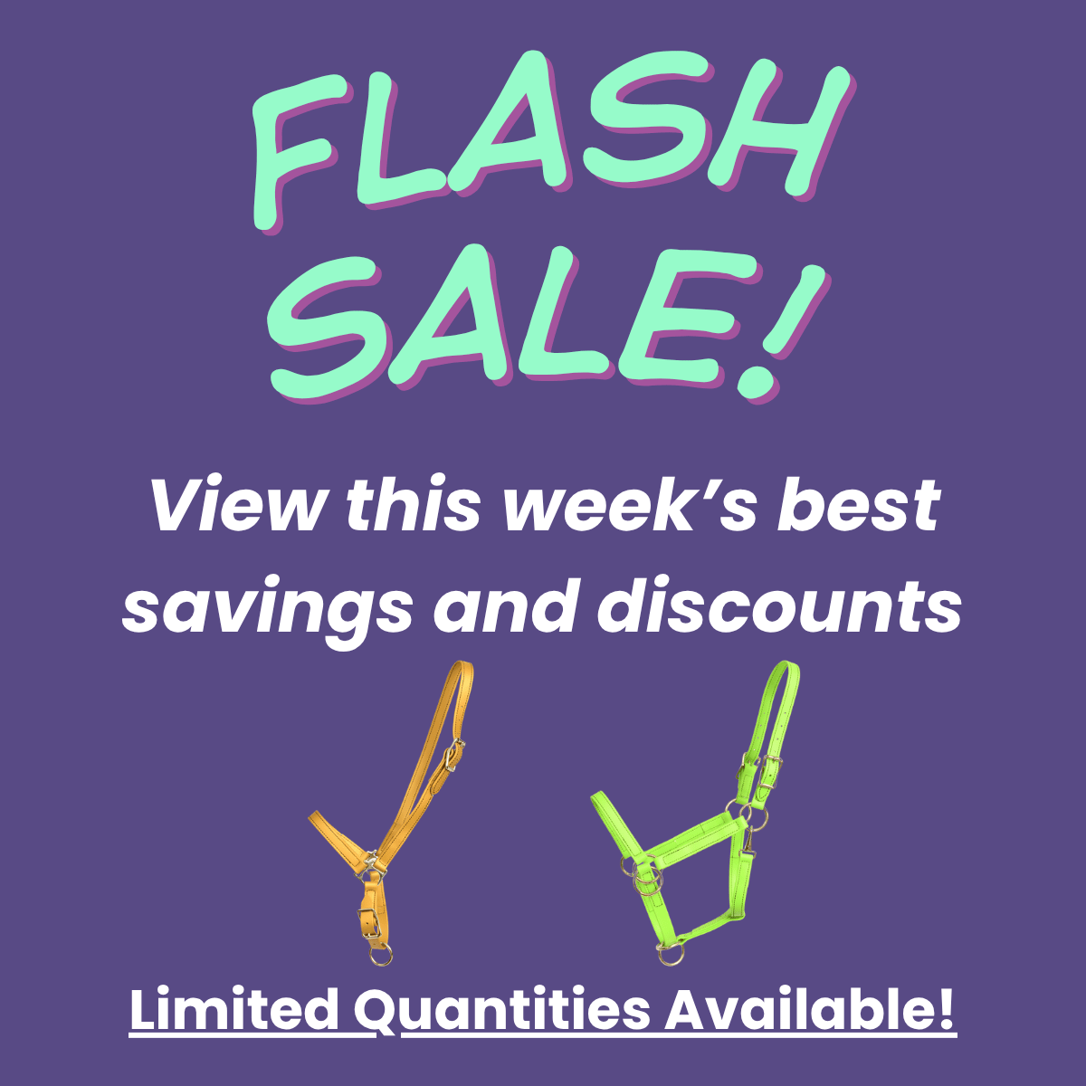 Flash Sales